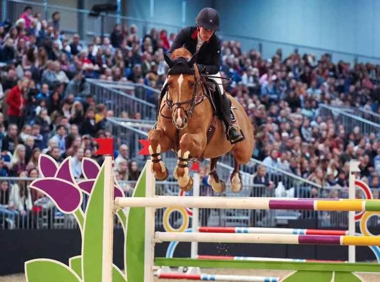 Ticketpreise für die Deutsche Reitsportmesse 2026