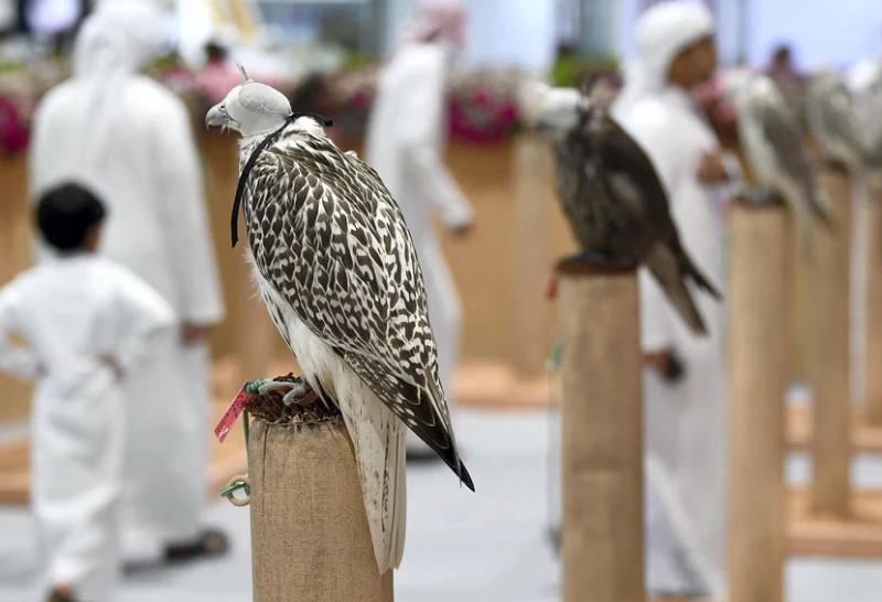 Dubai Safari Show 2027: Termine und Ort